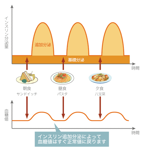 血糖値の一日の動きとインスリンの分泌