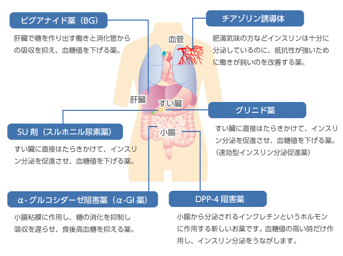 糖尿病と薬