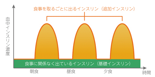 インスリンの働きと注射の種類